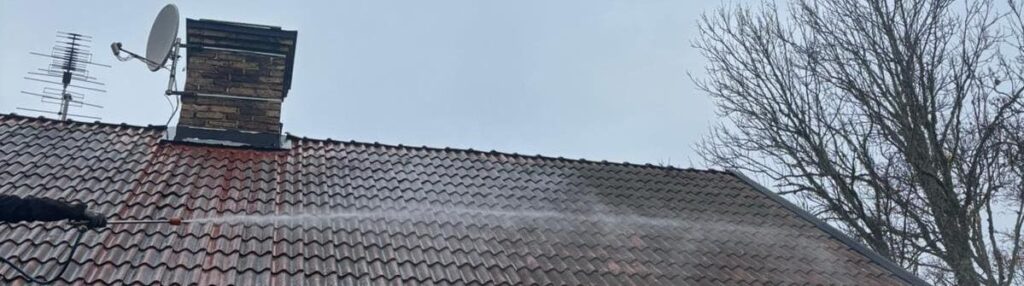 Mossa alger och lav försvinner från taket