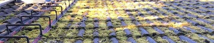 Mossa på tak i Nortälje